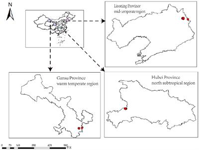 Soil available phosphorus and pH are key factors affecting the site index of Larix kaempferi plantations in China